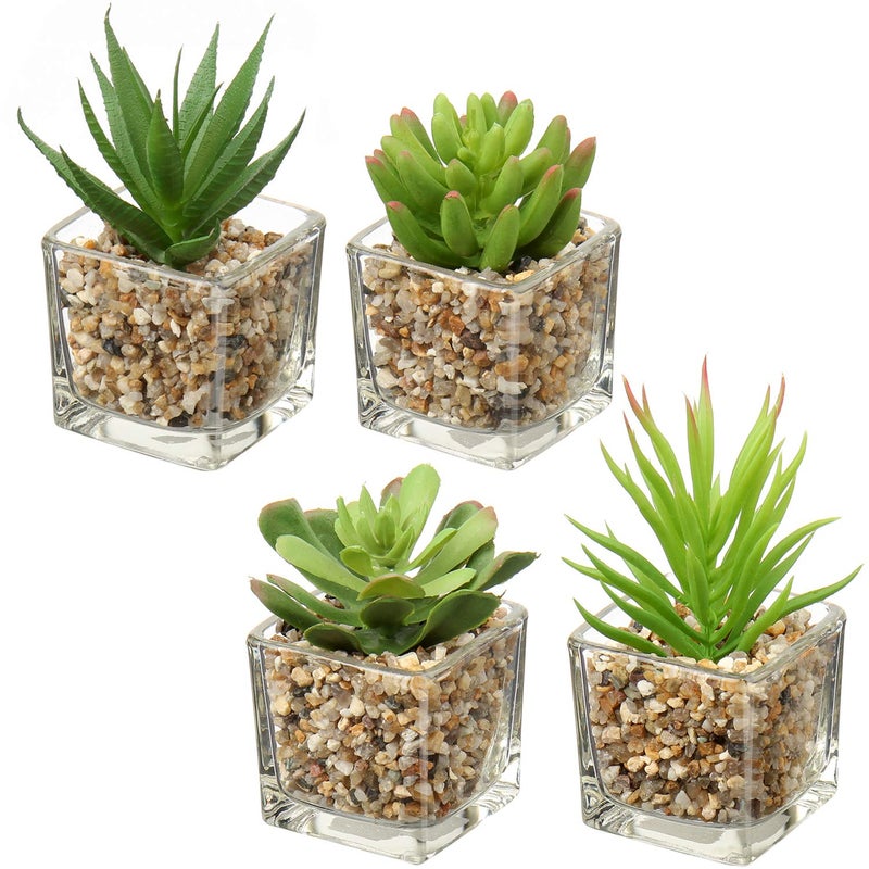Briful Set of 4 Succulents Plants Artificial in Clear Glass Pots Small Fake Succulents Plants Mini Faux Plants Indoor for Window Sill Office Table Desk Shelf Bathroom Decor - Image 1